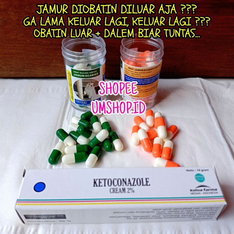 Vitamin Kucing Obat Jamur Scabies Paling Ampuh