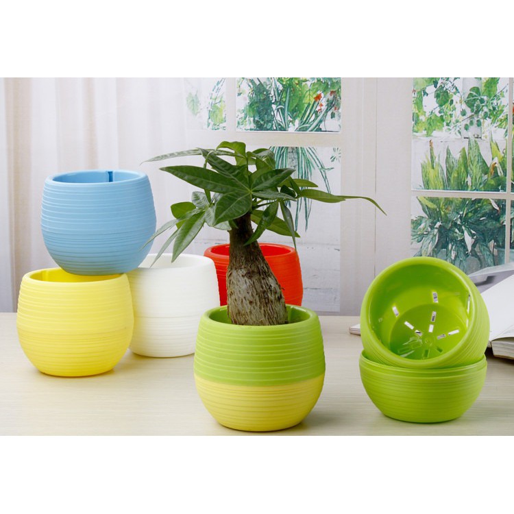 Mini Pot Bunga Hias Kaktus Tanaman - 5 PCS - Multi-Color