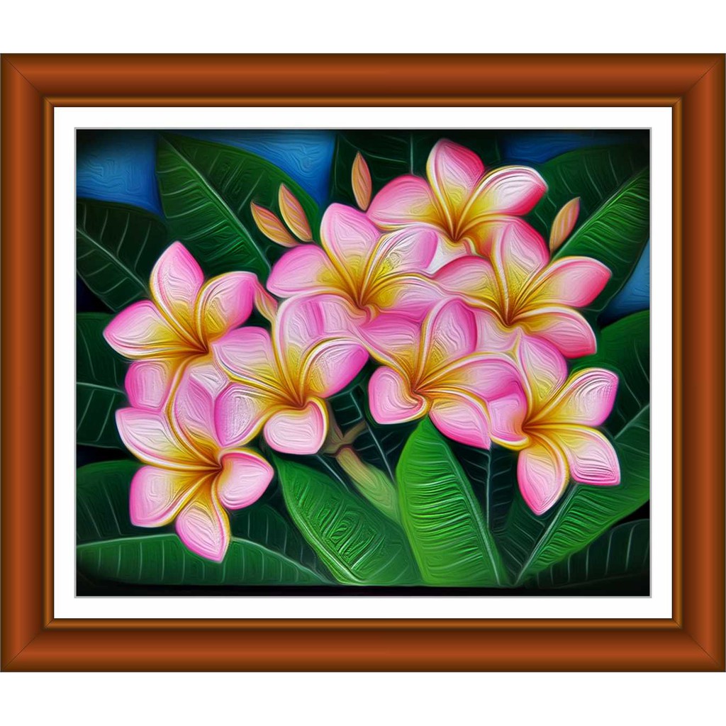 30 Contoh Lukisan Bunga Kamboja Gambar Kitan