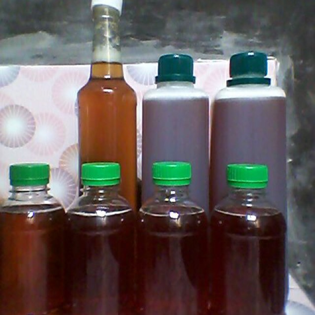 

Madu lebah murni