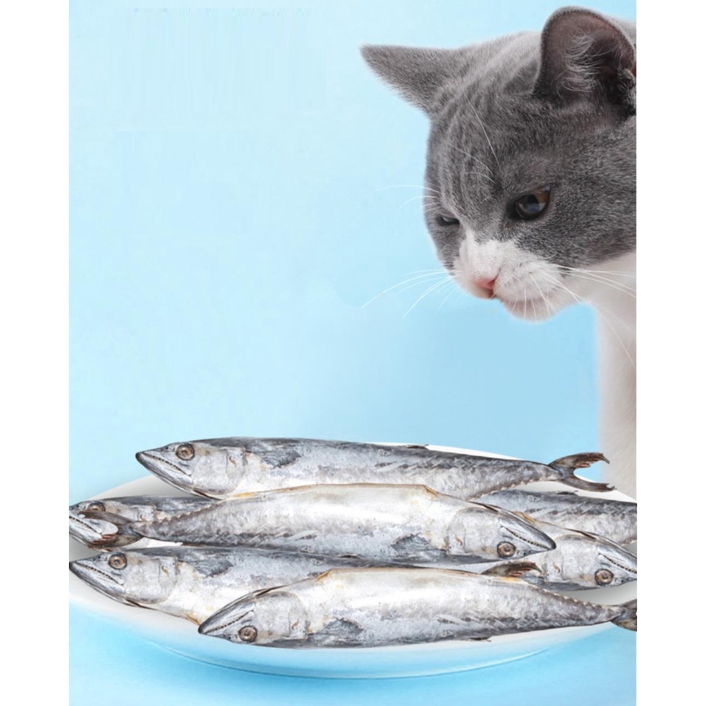 Ikan Steamed | Steamed Fish Meat – Pet Treat / Pet Snack / Pet Quick Meal – Cemilan Kucing