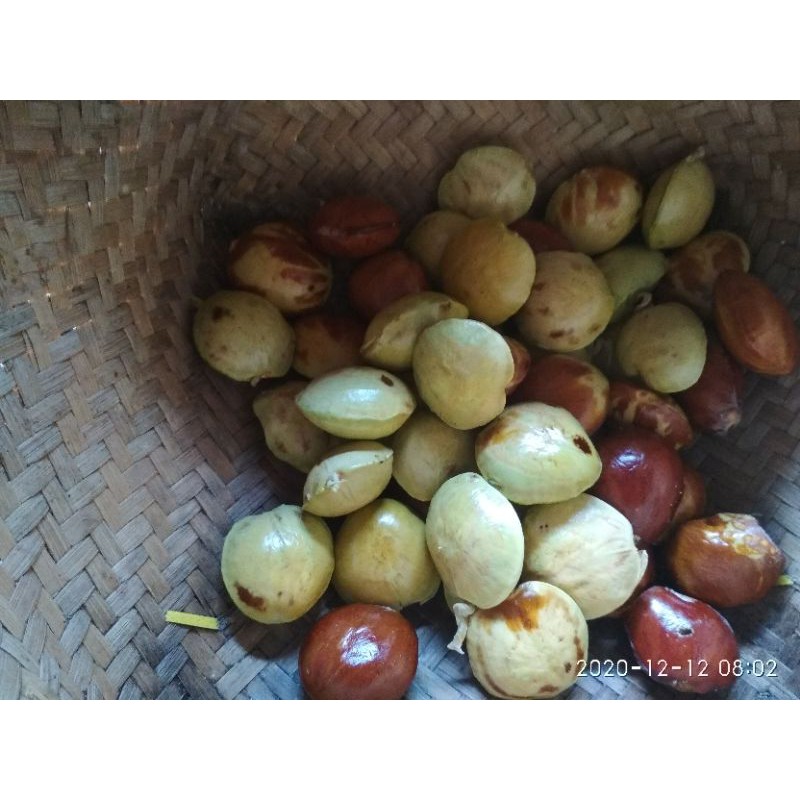 

jngkole