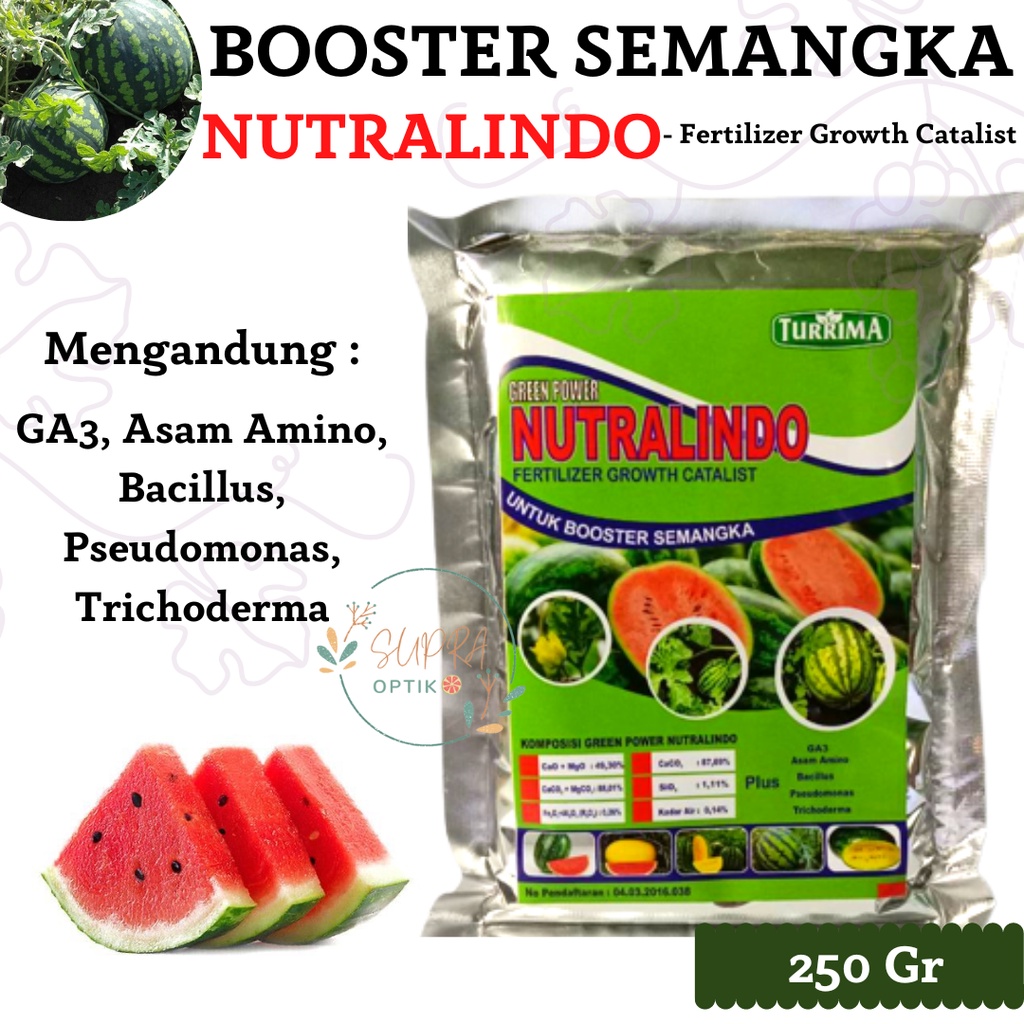 Pupuk Semangka Cepat Berbuah, Pupuk Semangka Agar Berbuah Besar, Pupuk Pemanis Buah Semangka