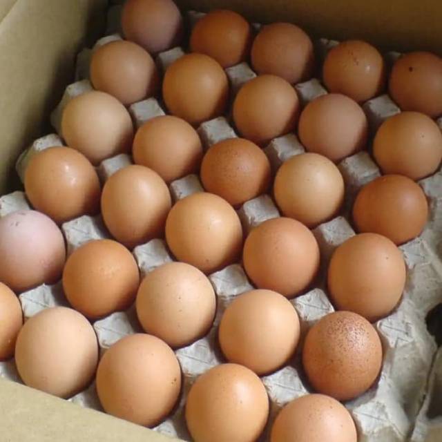  Telur  ayam mentah  kemasan Kg Kg 1 Kg Shopee Indonesia