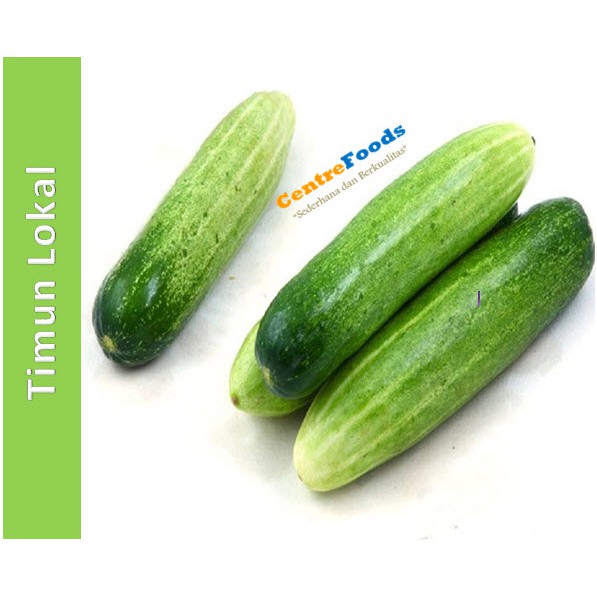 

Timun Lokal Fresh | Jabar [ Harga Per KG ]