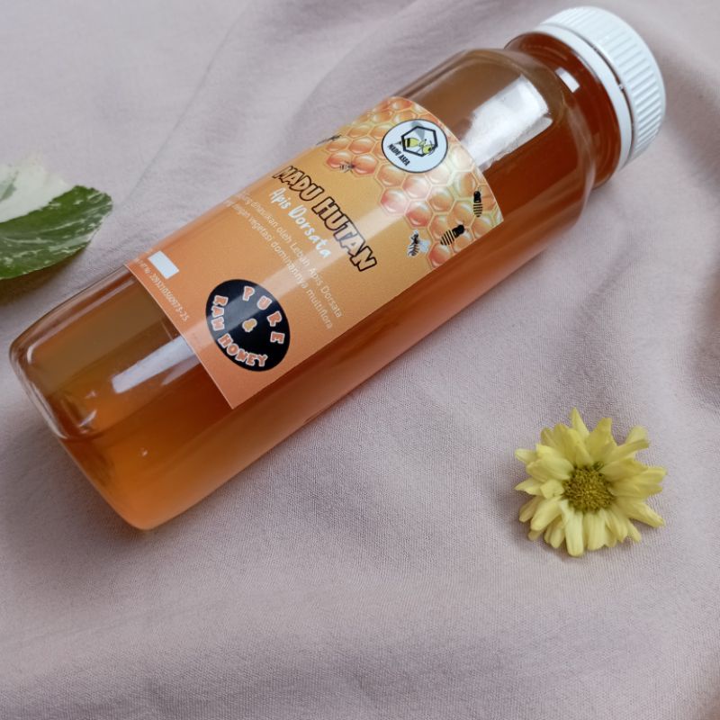 

MADU HUTAN APIS DORSATA