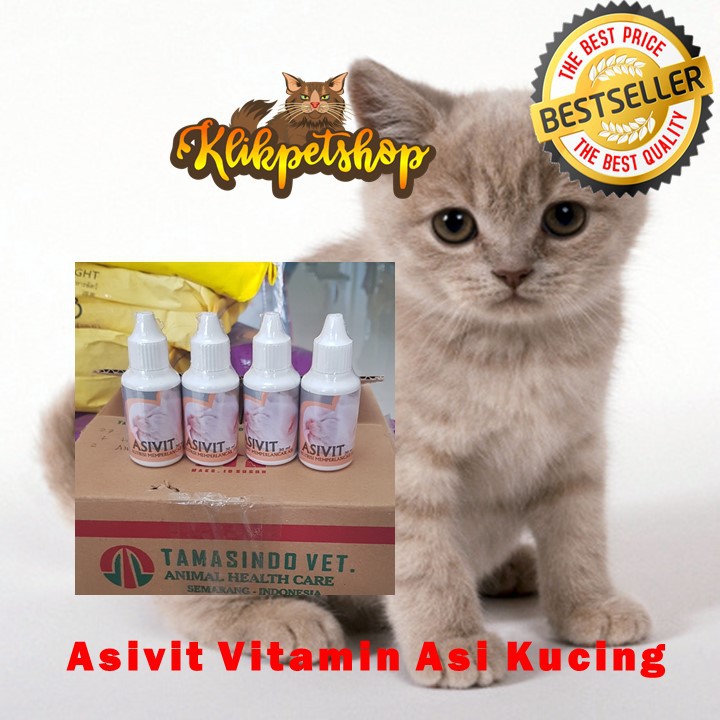 Asivit Cat Obat Suplemen Vitamin Nutrisi Memperlancar Asi untuk Kucing menambah makan dan vitamin