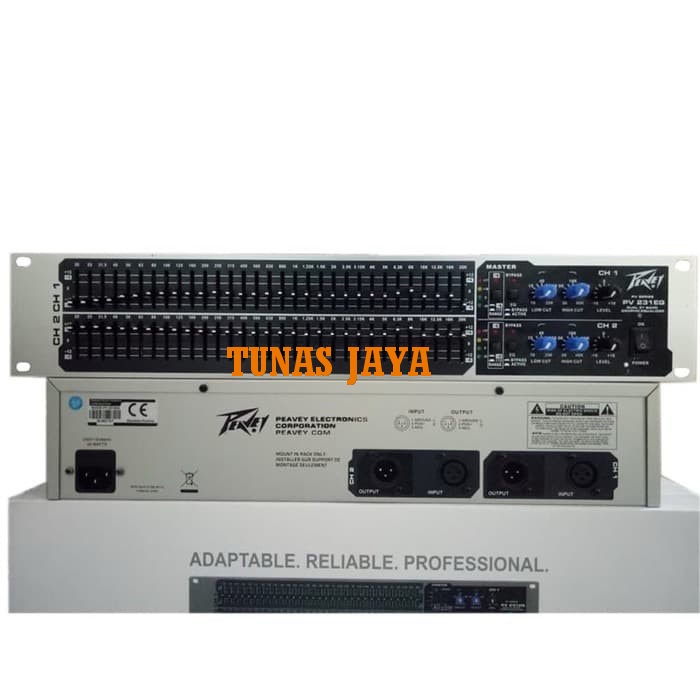 Equalizer Peavey PV 231  EQ 231 EQ231 2x31 PV231 Channel