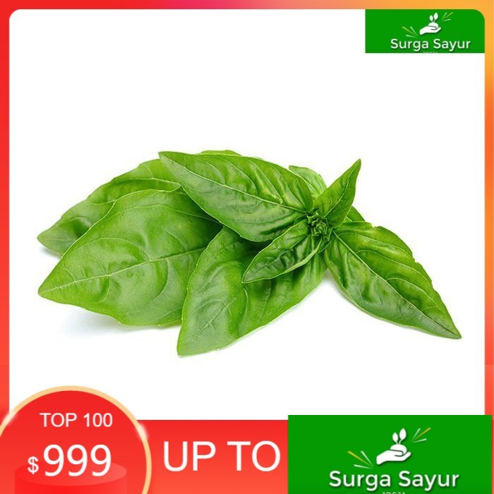 

SURGA SAYUR Daun Kemangi Per Ikat,, UTK SEJABODETABEK BISA KIRIM INSTANT DGN GOSEND/GRAB