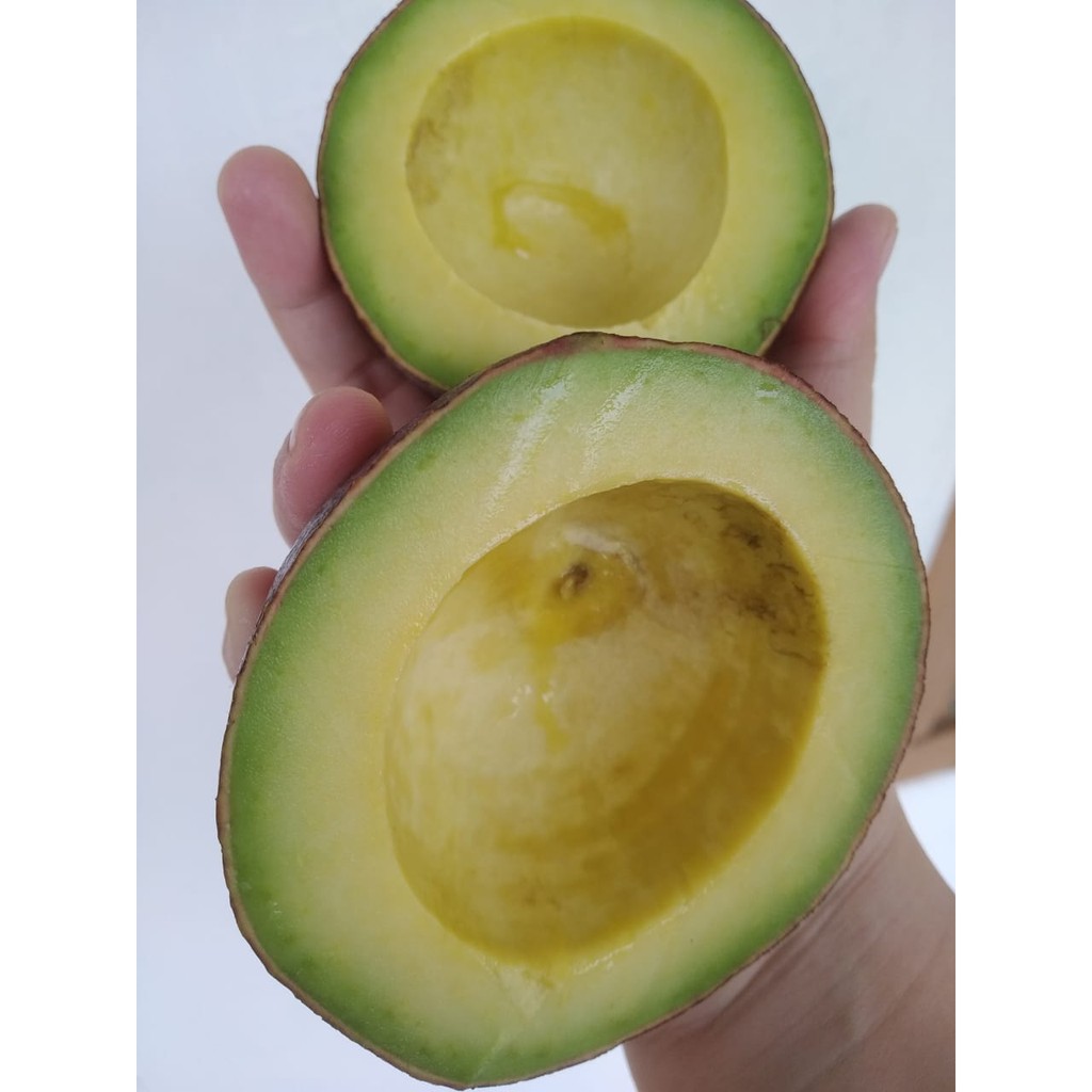 

ALPUKAT MENTEGA PREMIUM AvocadBar [PAKET 5KG]