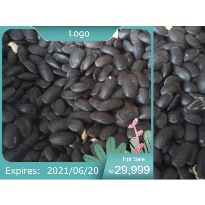 

Biji Kedawung Utuh Kwalitas Super 500g (1/2 kg) / Buah Kedaung Murni