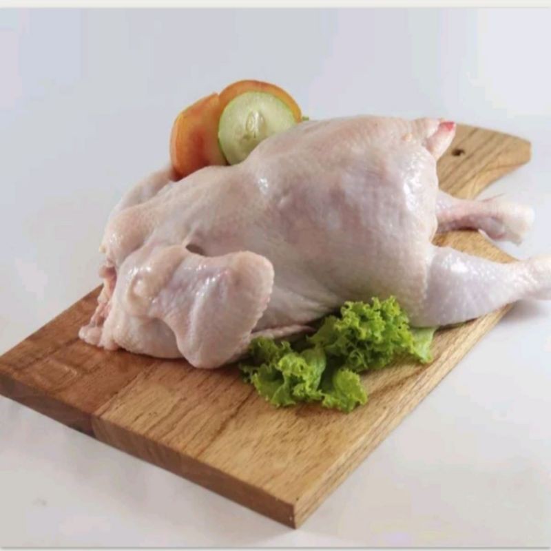 

Ayam Frozen ukuran 0,7-0,8kg