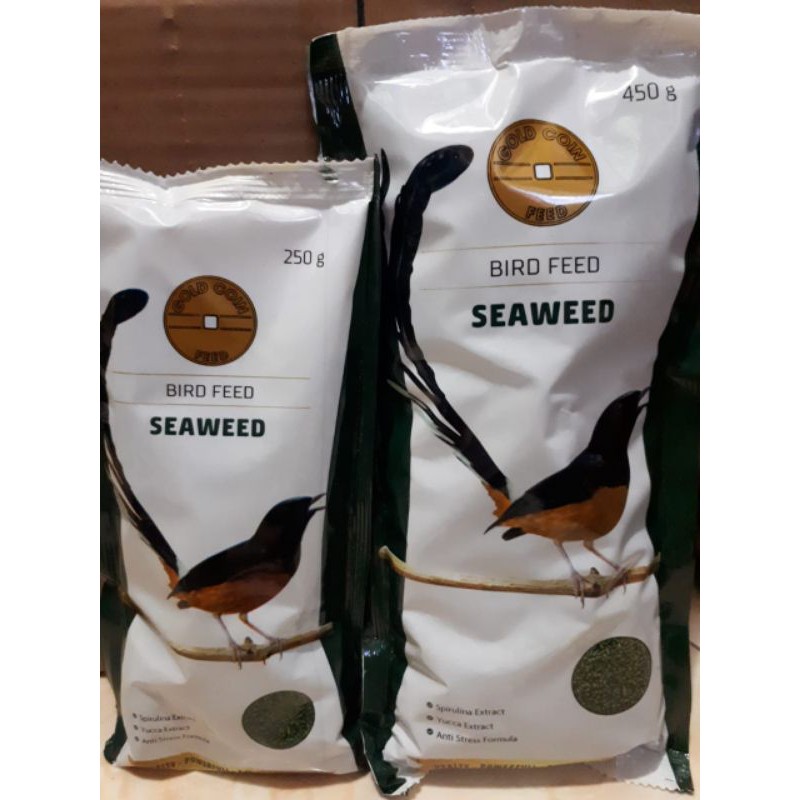 Gold Coin Murai Batu Seaweed