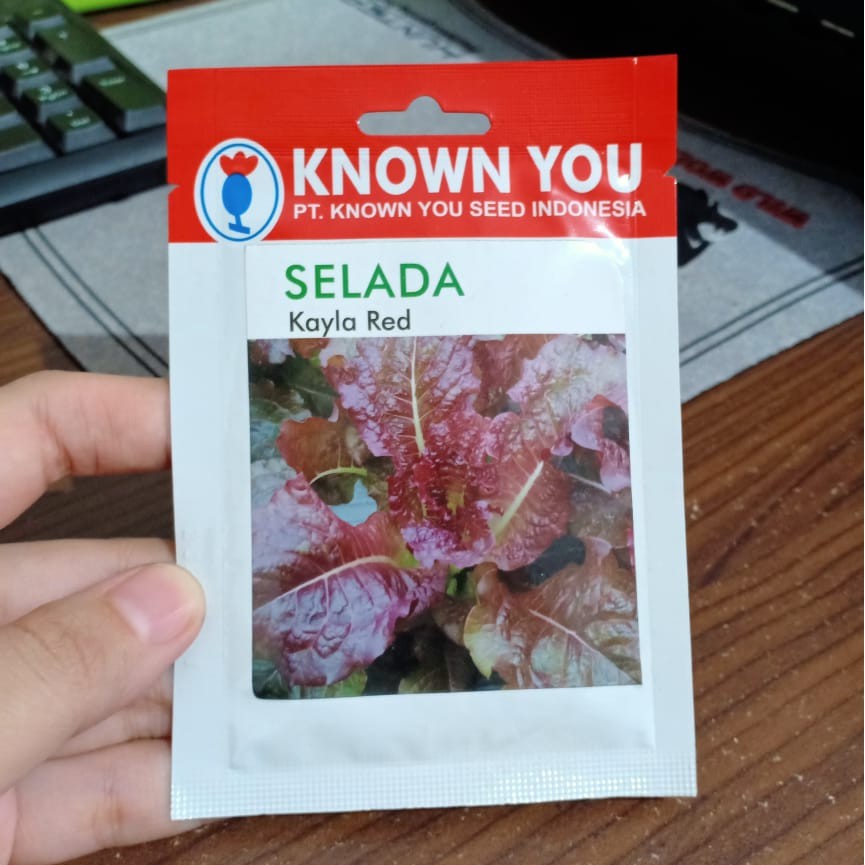 selada kayla red 5gr - selada merah - leaf lettuce