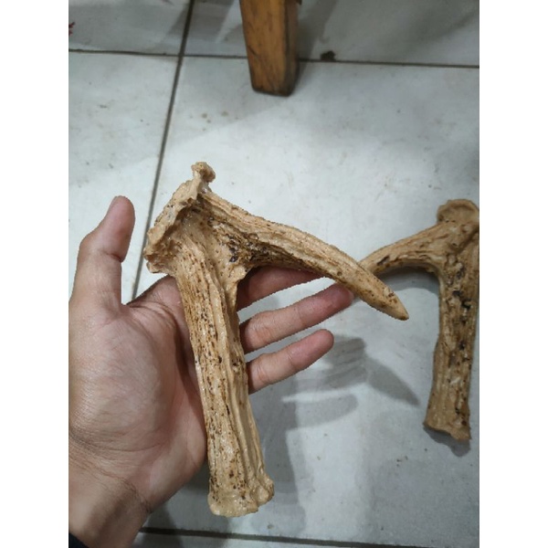 gagang mandau hulu mandau motif tanduk bahan fiber