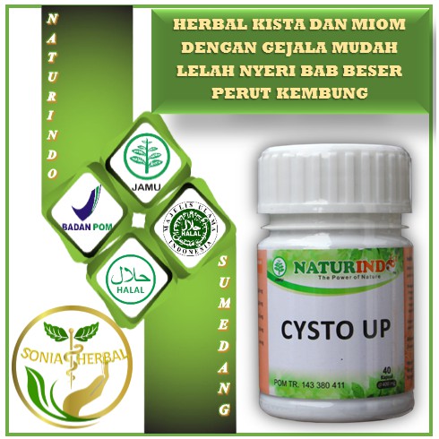 CYSTO UP Obat Herbal Kista Dan Miom Dengan Gejala Mudah Lelah Nyeri Bab Beser Perut Kembung-2