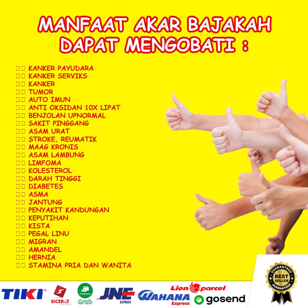 AKAR BAJAKAH TAMPALA ASLI KALIMANTAN  / BAJAKAH TAMPALA OBAT HERBAL KANKER TUMOR / KAYU BAJAKAH