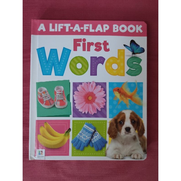 A lift a flap book First words