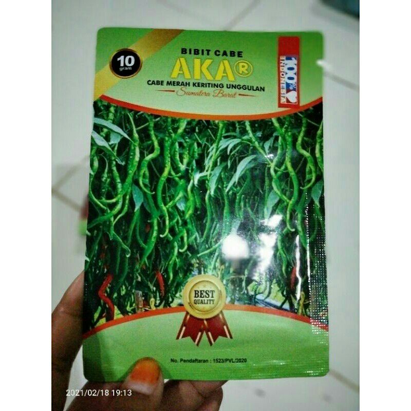 Bibit Cabe AKAR Cabe kriting unggulan Asli Sumatera Barat 100% tahan virus