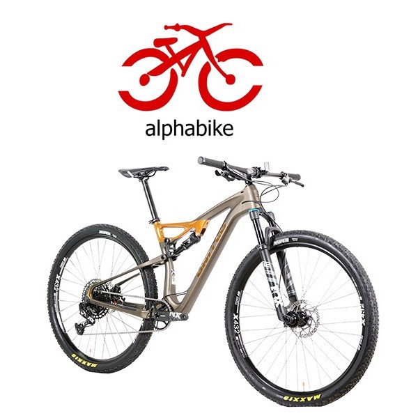 SEPEDA GUNUNG MTB UNITED EPSILON C1 29 INCH CARBON