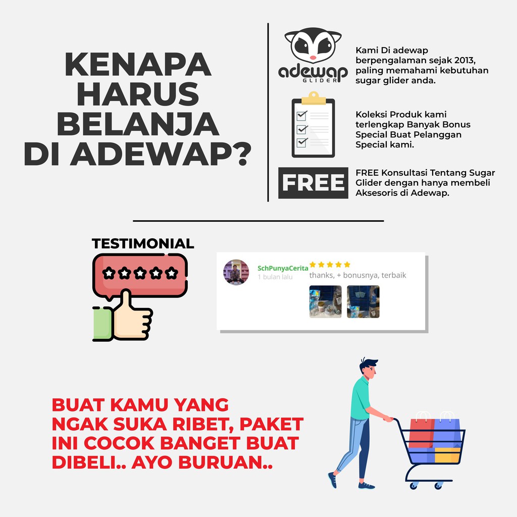 ADEWAP GLIDER Paket Hemat 8! Kandang Ukuran Medium Sugar Glider