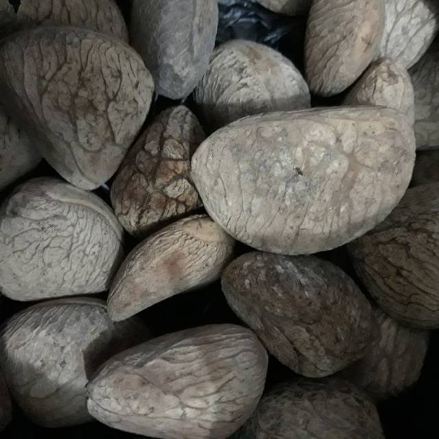 

Kluwek
