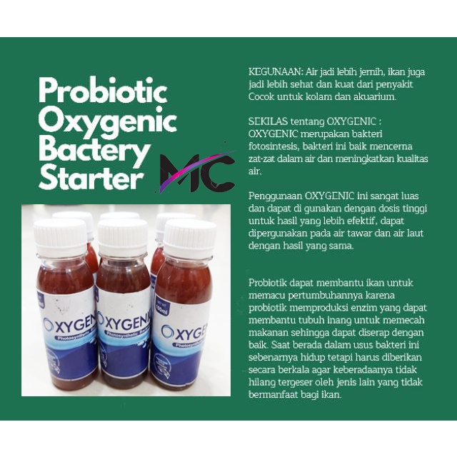 Oxygenic Probiotik Bakteri Starter 100ml Aquarium Kolam Perawatan Pertumbuhan Ikan Hias Bacteria Pro Biotik