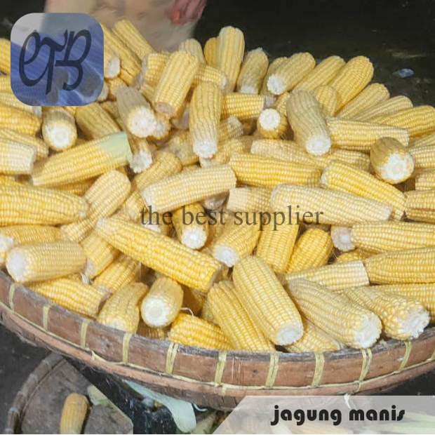 

Jagung Manis Kupas Segar
