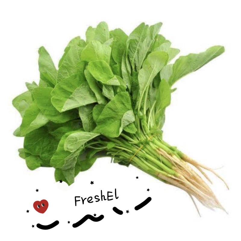 

FreshEl - BAYAM / BAYEM 1ikat