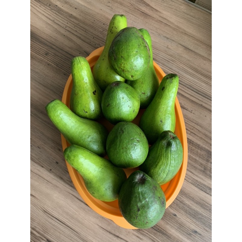 

Alpukat Mentega Mini