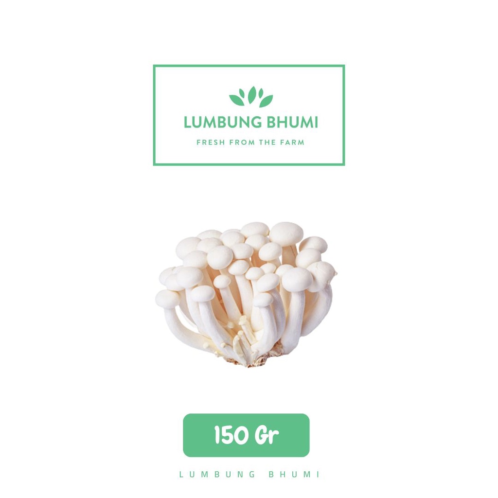 

Lumbung Bhumi - Jamur Shimeji Putih 1 Pcs ( Sayur Curah )