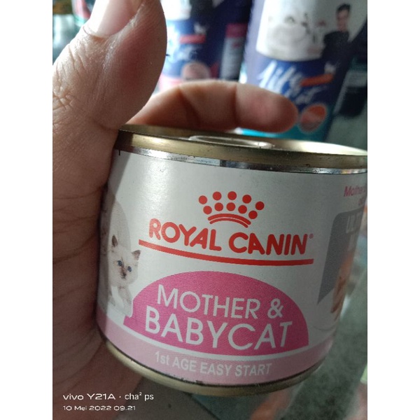 ROYAL CANIN MOTHER AND BABY CAT - CATFOOD