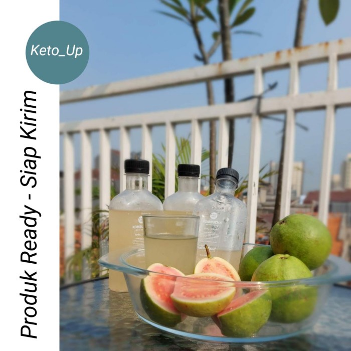 

Kombucha Teh Fermentasi Probiotik berkualitas ketofriendly - HALAL - Jambu (BERKUALITAS)