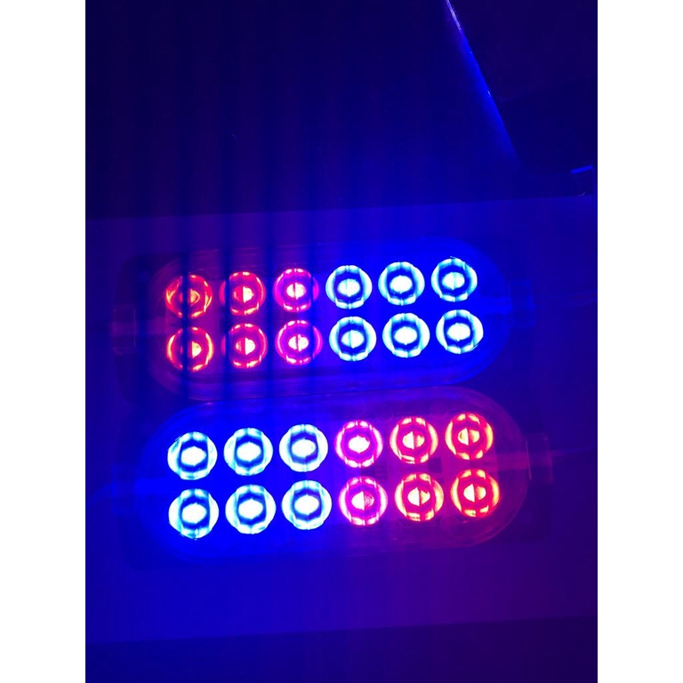 LED ULTRASONIC 12MATA 2 WARNA KEDIP MERAH-BIRU 12 LED ULTRASONIK