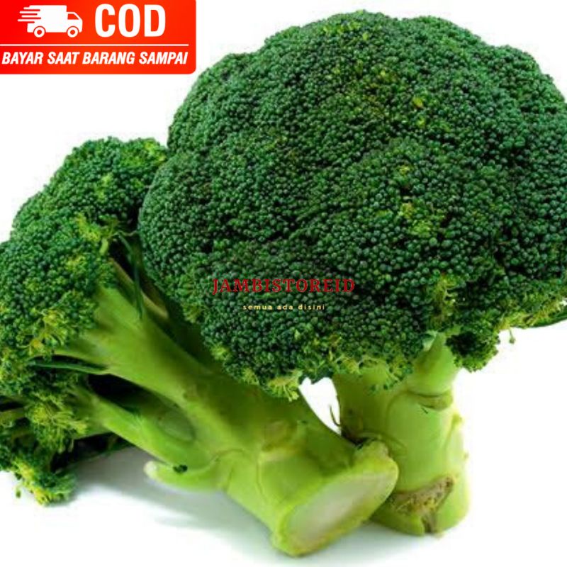 

(JAMBISTOREID) PILIH PENGIRIMAN INSTAN Green Broccolli 250gram Sayur Brokoli Hijau Bersih Segar Jambi