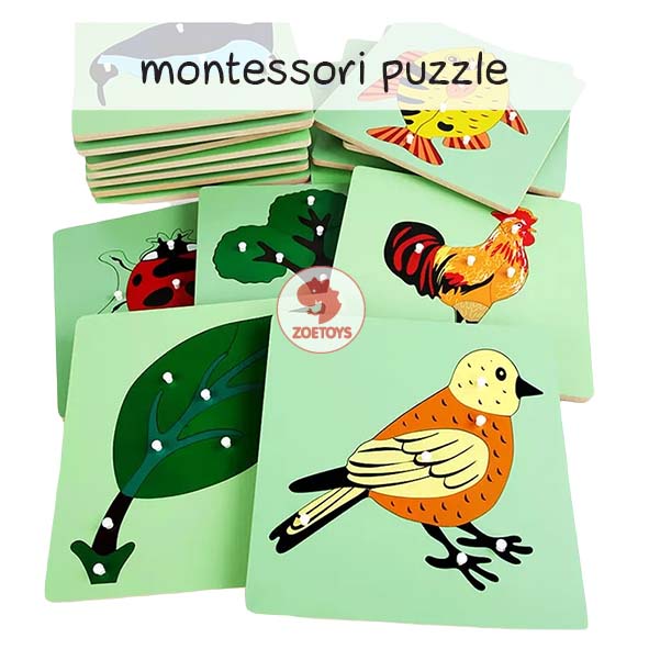 Zoetoys Montessori Puzzle Animal | Cultural Science | Preschool Skeleton Horse Frog Kayu | Mainan Ed