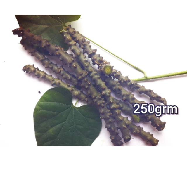 

#BATANG ANTAWALI FRESH/BROTOWALI FRESH 250GRM