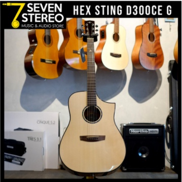 Hex D300 CE G Natural Acoustic Electric Guitar