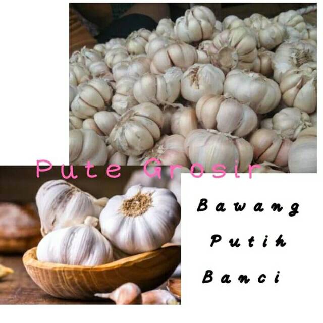 

Bawang Putih Banci Super 1kg