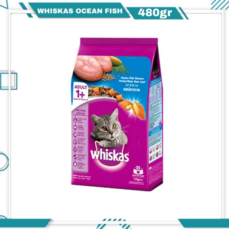 Whiskas Ocean Fish 480gr Fresh Pack / Makanan Kucing Whiskas Adult 1+ / Makanan Kucing Kering Untuk Dewasa