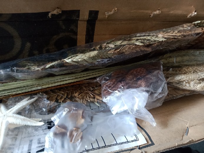 Hiasan Buket Bunga Dekorasi Rustik Dried Flower Marigold Pompom Kering Sikas Palem Gandum Lagurus