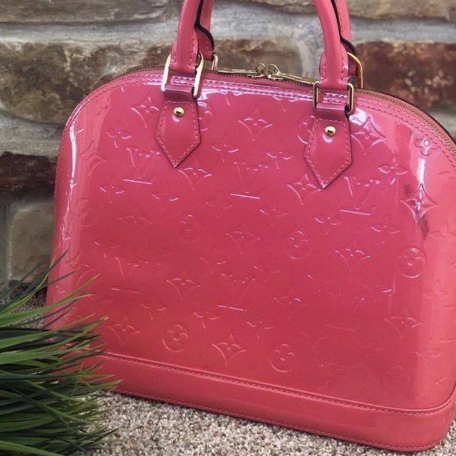 Preloved LV Alma Vernis