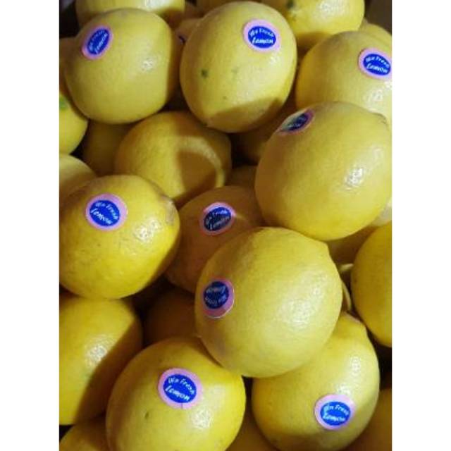 

[ Bumi Mart] Lemon California Lokal | SEGAR | 500gr | 1 KG