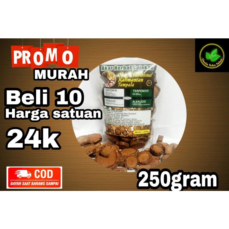 

Akar Herbal Bajakah Tampala Super | isi 250gram