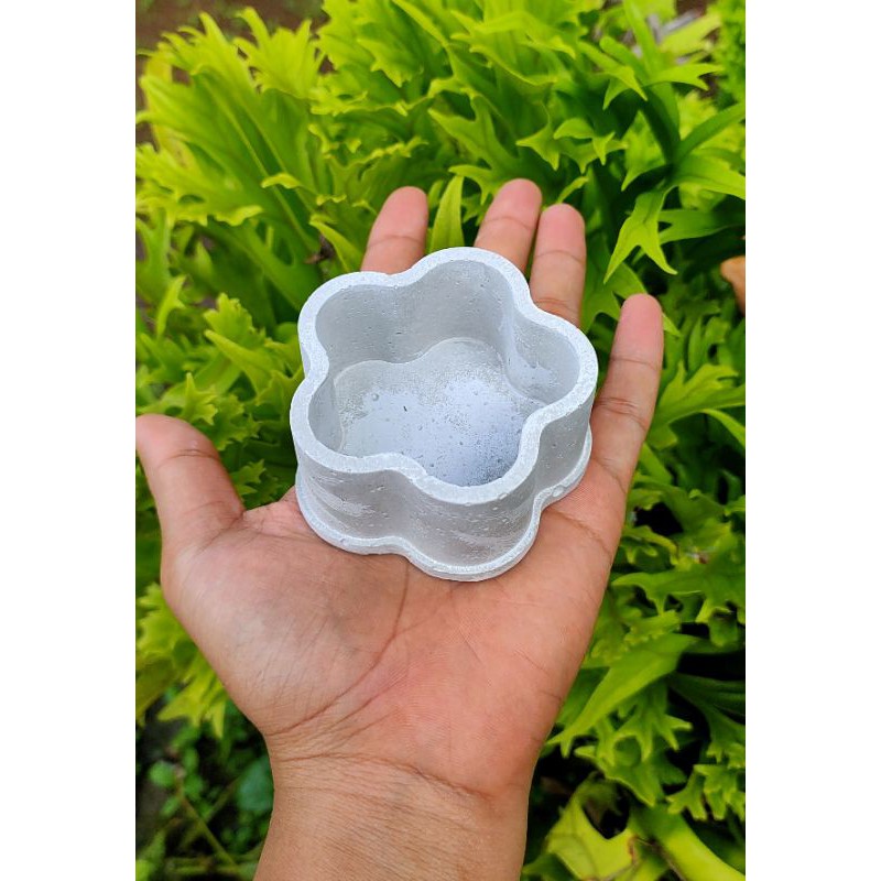 pot semen mini | kaktus sukulen | tanaman hias | bonsai | pot mame | concrete pot