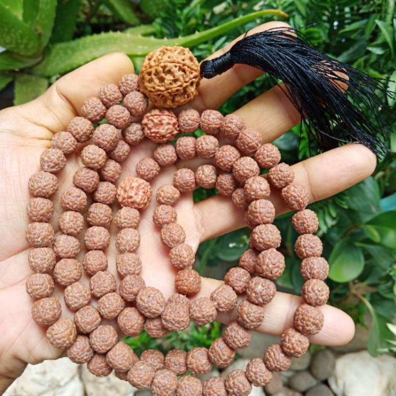 tasbih jenitri Rudraksha