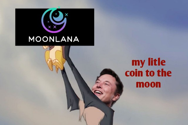 Kemeja Pria Lengan Pendek Motif