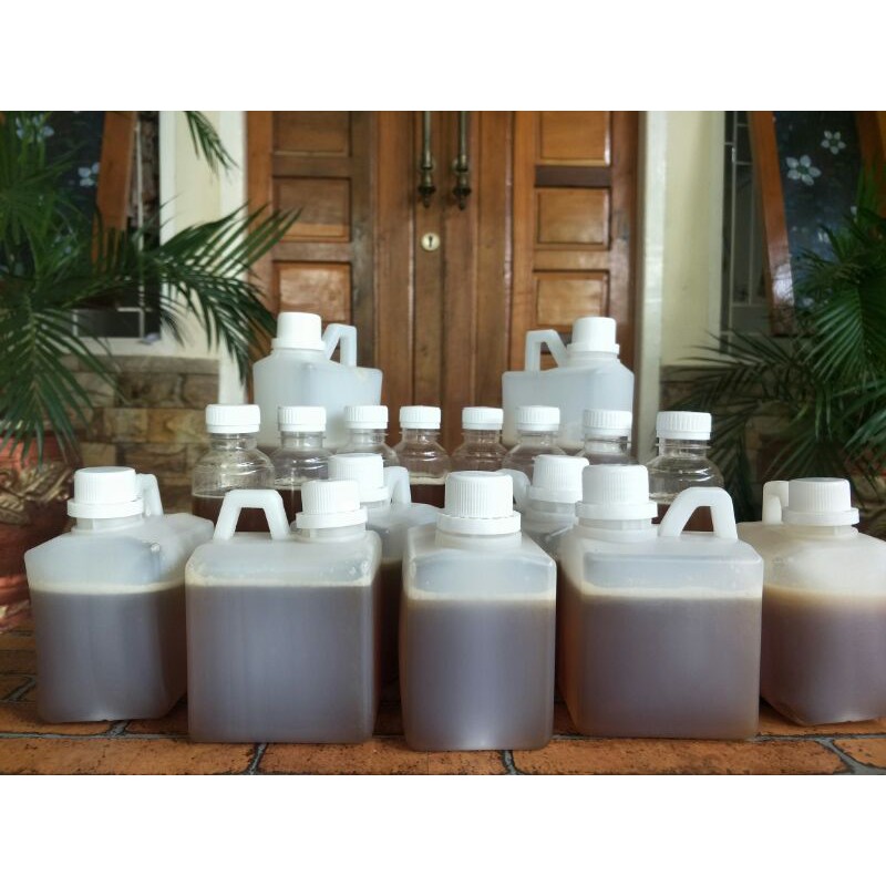 

Madu Sialang Asli
