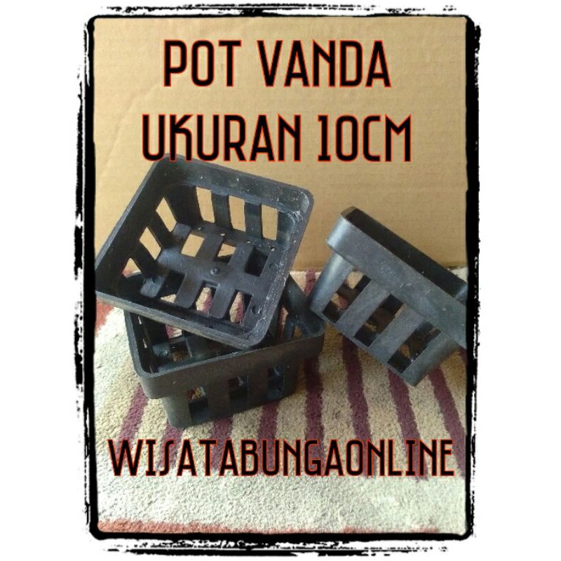 pot anggrek kotak murah / pot vanda