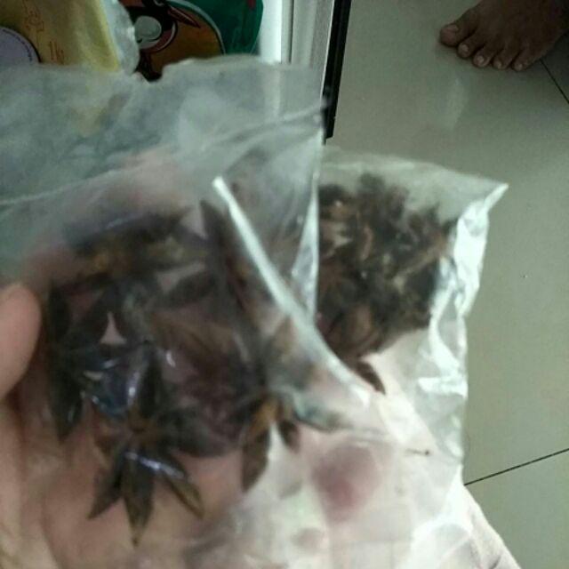  Bunga  Kembang Lawang  Pekak Star Anise Ramuan Obat 